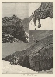 After Rocky Mountain Sheep